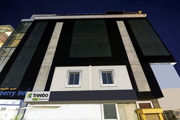 Hotel Treebo Blueberry Inn