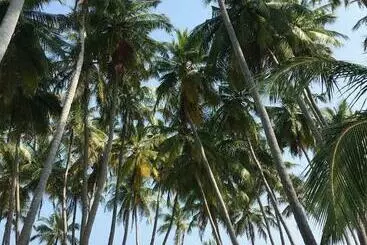 Majatalo Gaskara Guesthouse
