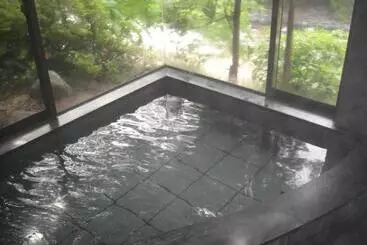 Hotel Annex Turtle Hotorian