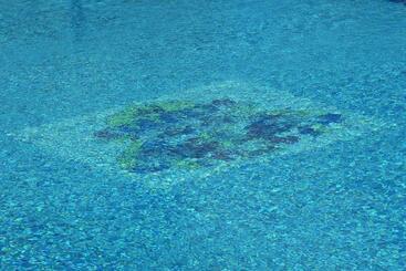 هتل Tenuta Marchesi Fezia