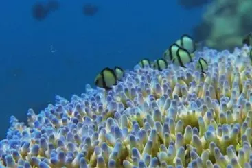 Blue Andaman Lanta Resort