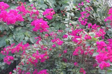 酒店 Islandfront Cottages