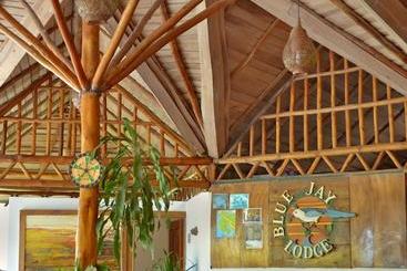 Отель Blue Jay Lodge Costa Rica