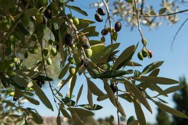 별장 Villa Coralia Agriturismo