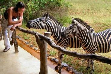 فندق Leopard Walk Lodge