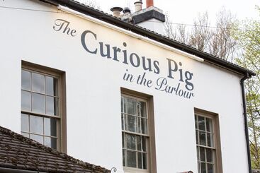 Hotel The Curious Pig In The Parlour