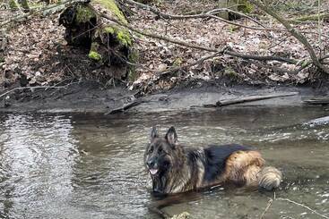 Bed and Breakfast Caledon Manor And Country Inn