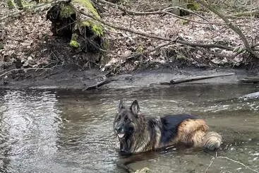 ベッドアンドブレックファースト Caledon Manor And Country Inn