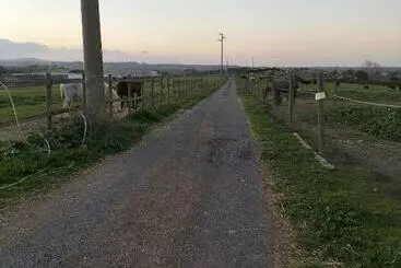 Rod Ranch Livestock   Stanza Double Room