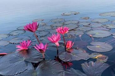 Bed and Breakfast Bkl Happy World