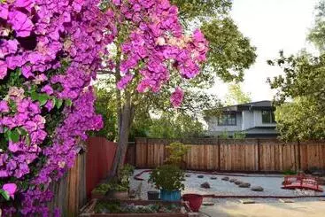 Majatalo Silicon Valley Palo Alto Stanford Prime Location