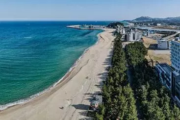 ホテル Gangneung Pineart Label