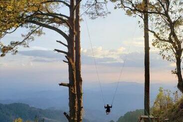 فندق صغير De Montaña Buena Vista