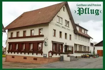 Hotelli Gasthaus Pflug