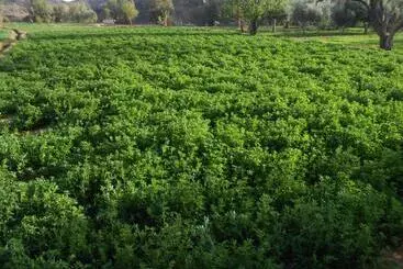 ペンション Gite D Etape Sidi Flah