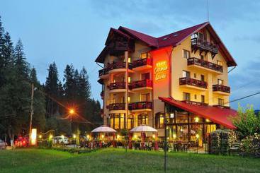 Hotel Pensiunea Carmen Silvae