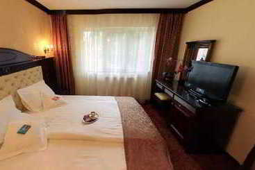 בית מלון כפרי Pensiunea Carmen Silvae