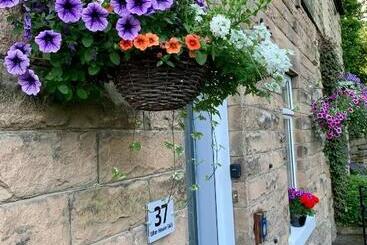 Ellen House Bed And Breakfast