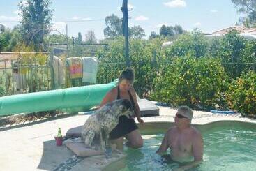 Must Love Dogs B&b & Self Contained Cottage