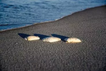 Beachy Lavallette Cottage W/ Outdoor Shower, Patio
