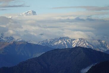 Отель The Rudraksh, A Himalayan Retreat
