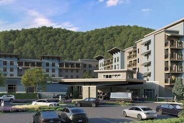 ホテル Embassy Suites By Hilton Gatlinburg Resort