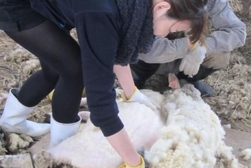 مبيت وإفطار Yorkshire Farm