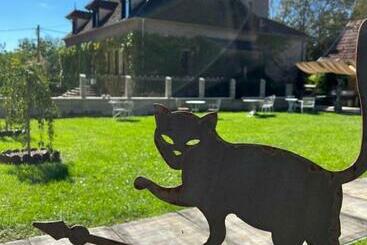 Bed and Breakfast Chambre D Hôtes Madame