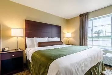ホテル Cobblestone Inn & Suites  Oberlin