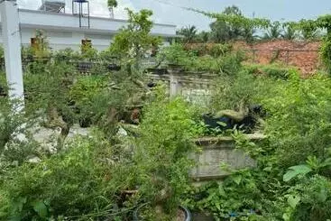 Hotel Hải đăng