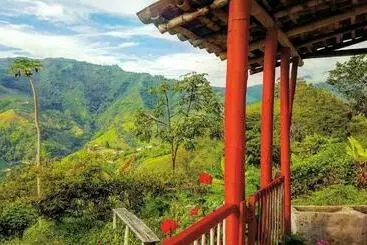 Café Tío Conejo. Finca