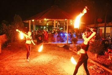 Vandrarhem Escape Divers   The Jungle