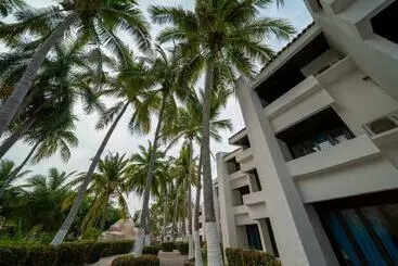 Soloamigos Hostel
