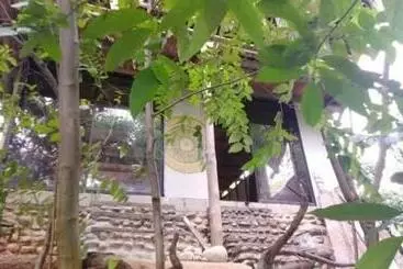 Sierra Tayrona Hostel