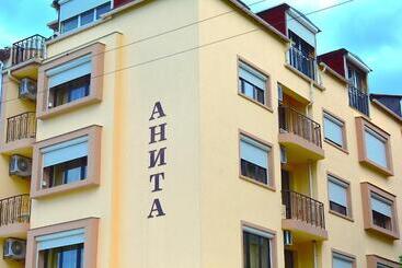 Pension (Hôtel basse catégorie) къща за гости анита