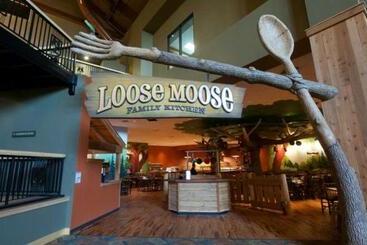 渡假胜地 Great Wolf Lodge Southern California