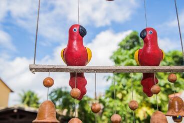 Hôtel Pousada Tropicalia