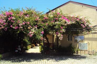 Hotel Dalyan Pension