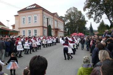 בית מלון כפרי Penzion U Holuba