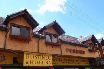 Szálloda Penzion U Holuba