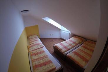 Отель Penzion U Holuba