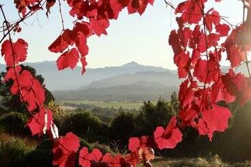 بنسيون Mitchella Farm Bed & Breakfast