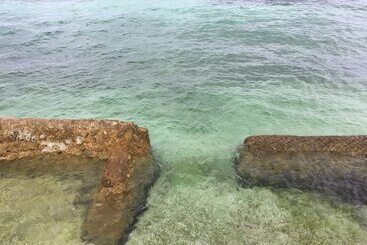 פנסיון Maxvir Inn Beach Resort