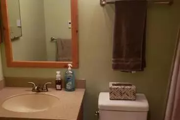 Huoneistohotelli Adventure In The Woods @ Seven Springs