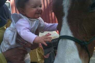 Fullcircle Farm Bed & Breakfast