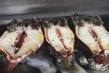 Tsitsikamma On Sea Resort