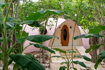 Пансион Room In Lodge   Eco Lush Double Mayan Dome Cenote And Bikes