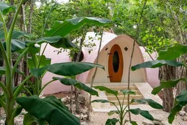 ペンション Room In Lodge   Eco Lush Double Mayan Dome Cenote And Bikes