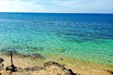 ホテル Evelin S On The Beach