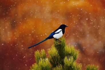 호텔 4 Seasons Inn On Fall River